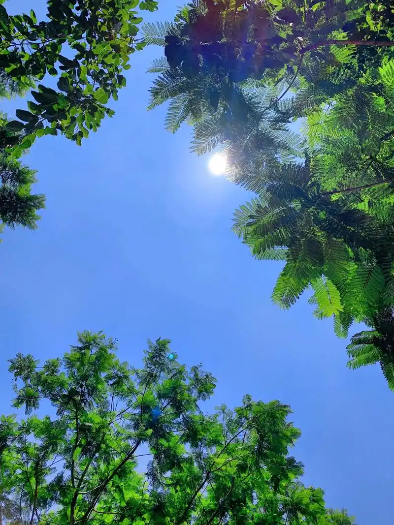 周末安静又惬意的校园生活