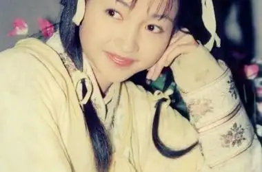 郭襄(神雕侠侣主角)李绮红饰,郭襄人物关系图_电视猫