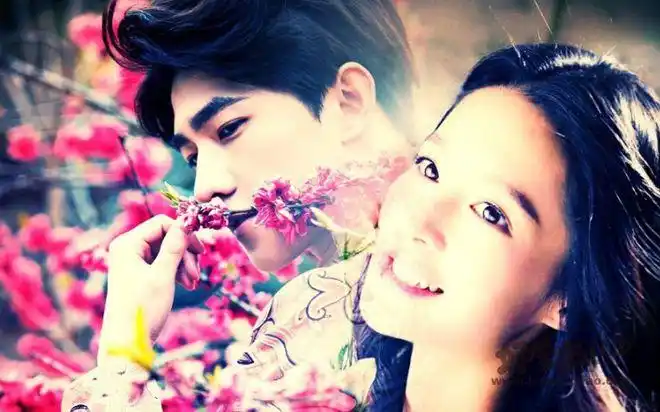 杨洋李沁为什么不在一起两个人一共合作过哪些电视剧