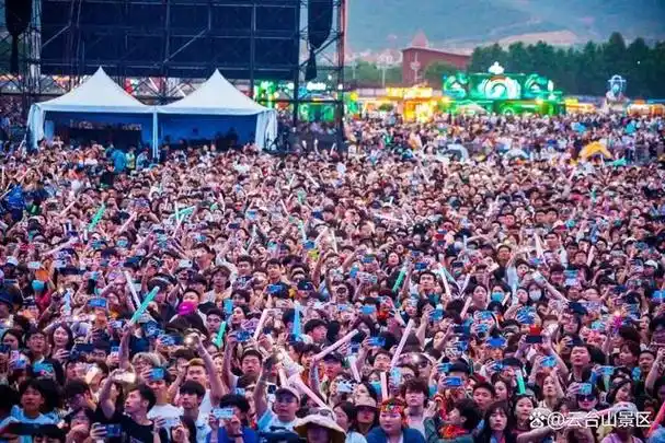面向市场,面向青年,面向未来,面向国际化,云台山音乐节以山水为媒介