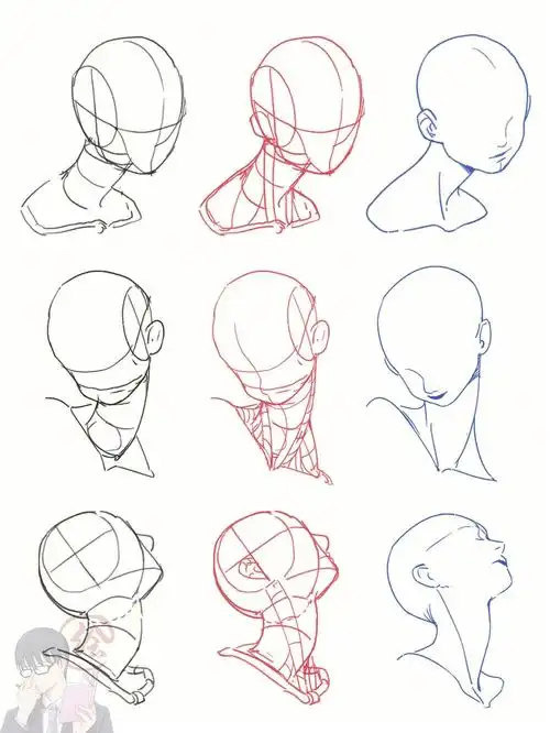 人体练习 | 动漫女生的脖子画法(22/100)