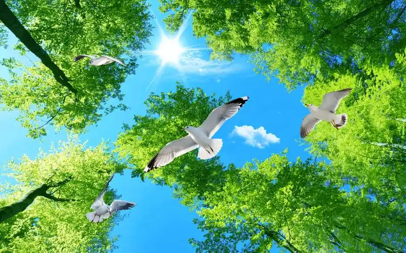 新闻信息承德5d凹凸浮雕板玄关批发价格