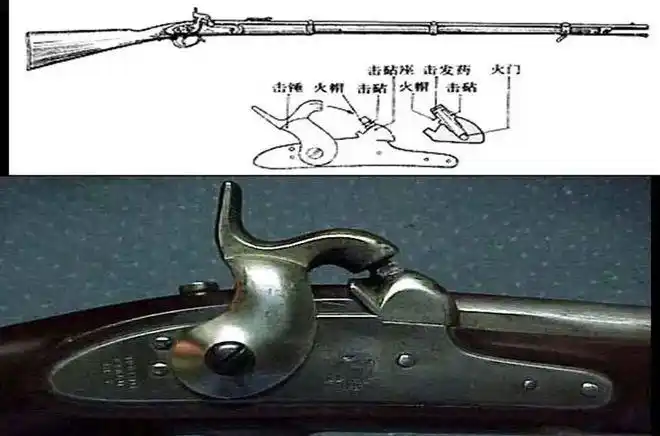 诞生于200多年前抗战中仍在使用的击发枪:萨沙的兵器图谱第287期