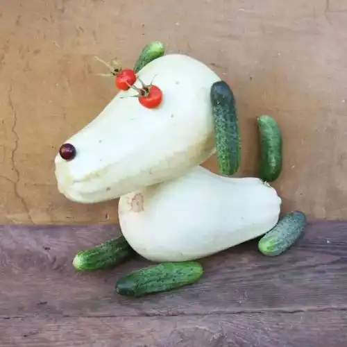 水果蔬菜拼图造型