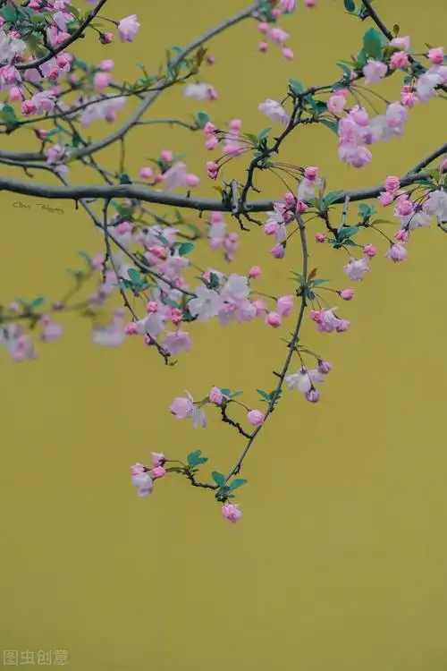 50张唯美禅意风景图片.高清淡雅意境壁纸,让人心静的自然美图