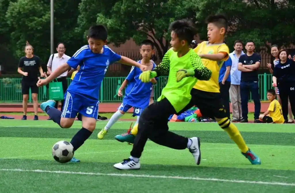 体育课还可以这样上