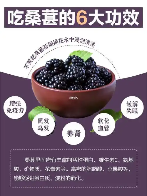 7171桑葚的这些功效你吃对了吗