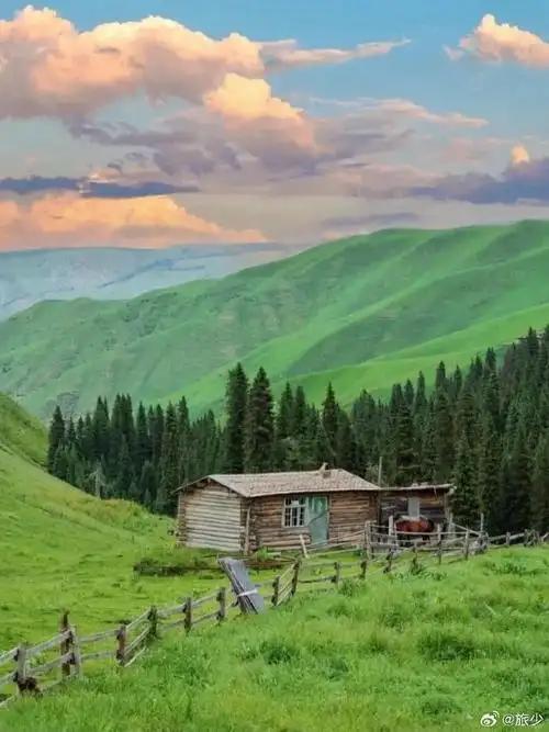 690_920竖版 竖屏