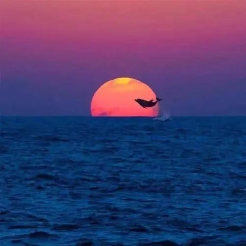 成熟男人微信头像风景大全