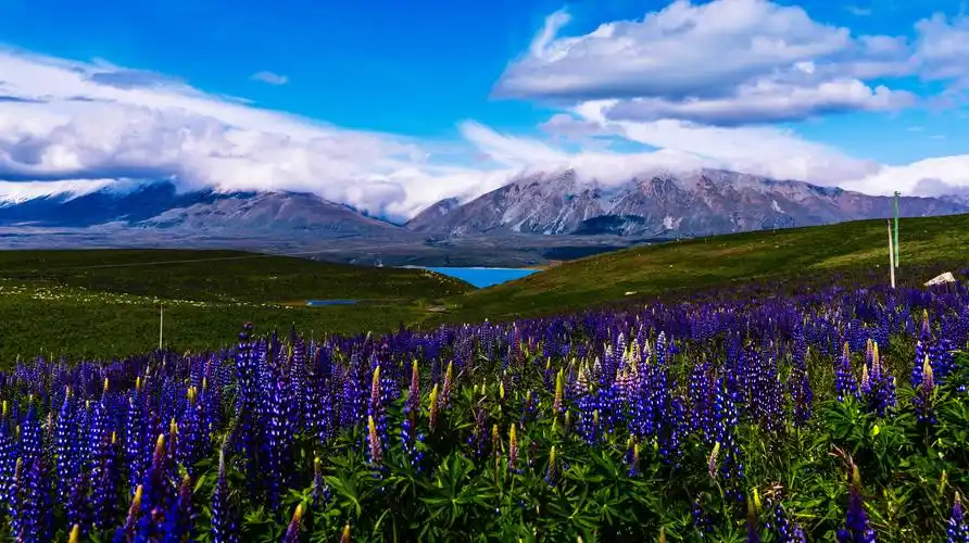 人间仙境新西兰