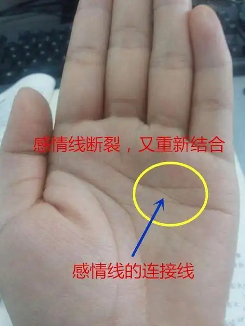 手中感情线不同的变化预示不同的情形财富争吵离婚等