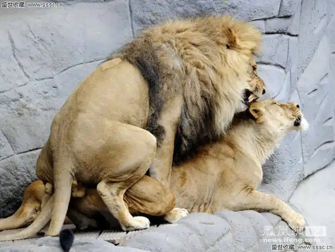 闲聊|娱乐|放轻松