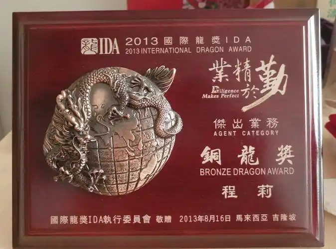 2013国际龙奖ida