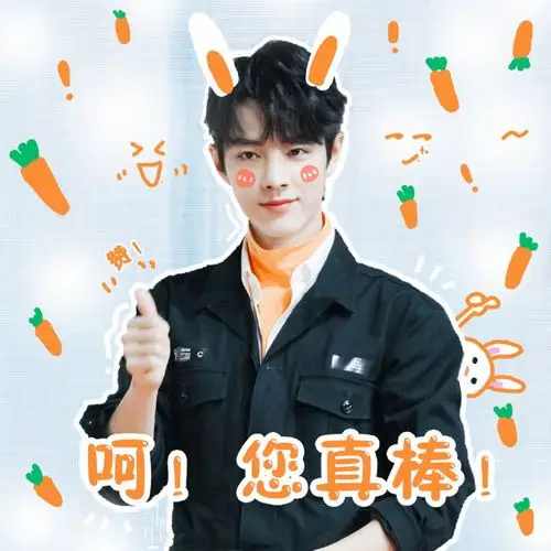 肖战可耐表情包