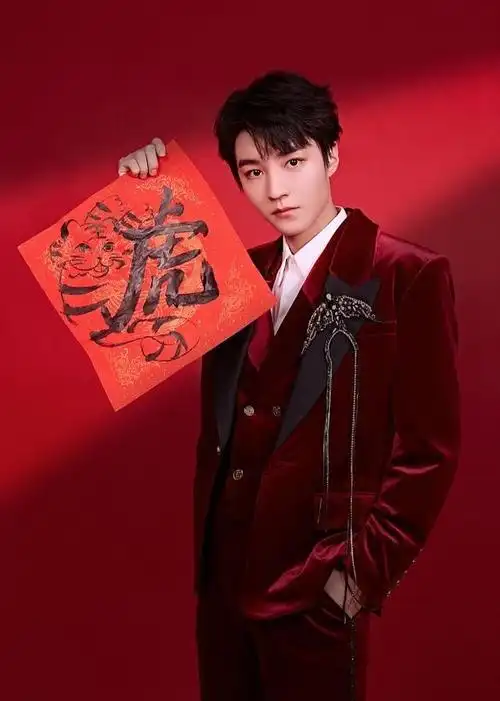 王俊凯央视春晚写真19