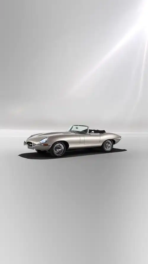 捷豹e-type-大家看看这是什么车?多少钱?