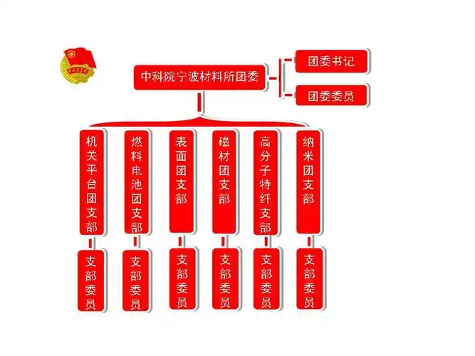 团委组织结构图 - 中国科学院宁波材料技术与工程研究所