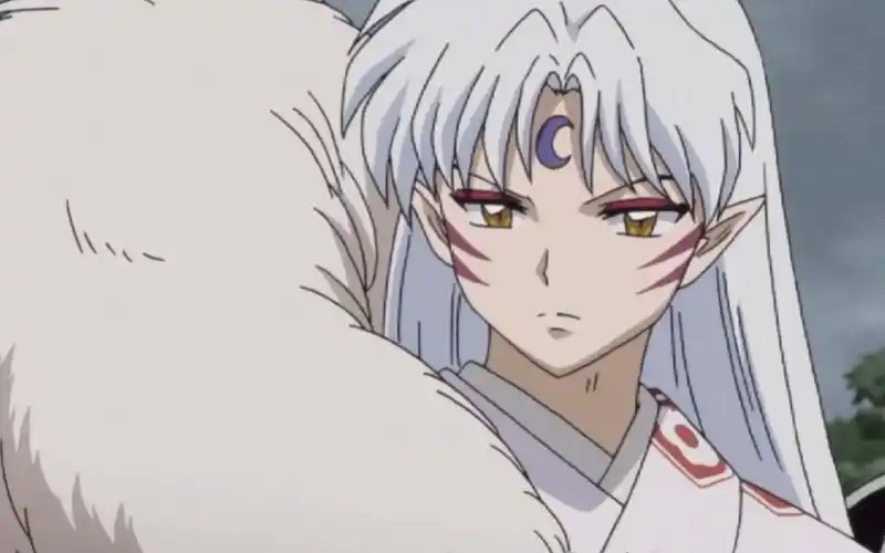 半妖的夜叉姬18杀生丸登场说一说细节信息量很大