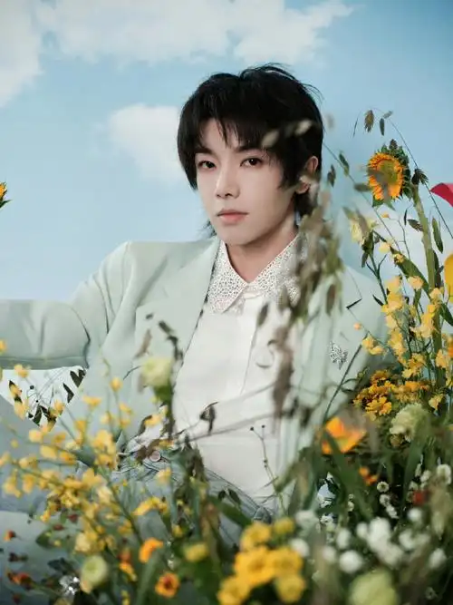 华晨宇那些我尚未知道的美丽荧屏首秀##华晨宇那些我尚未知道的美丽