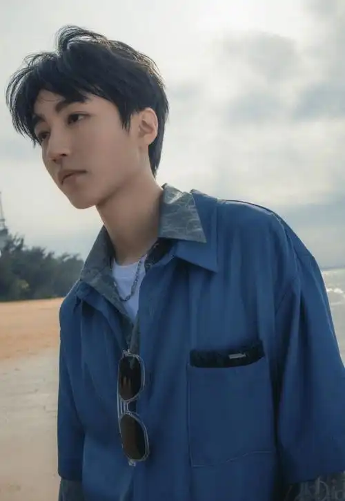 王俊凯海边凝眸大片 帅气逼人