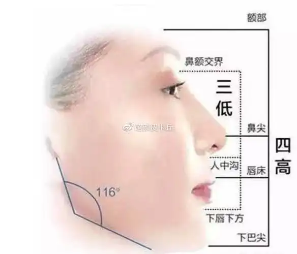 三庭五眼67676767分析头和脸,首先我们要先建立三维立体的