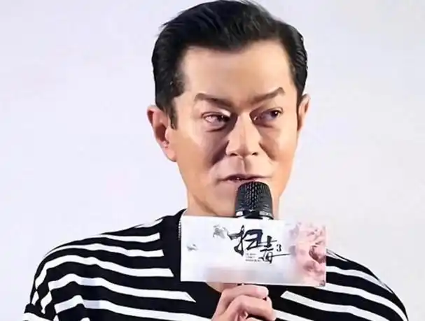 忍了古天乐和陈浩民,看到毛宁我真的笑了|记者|刘德华|林志颖|娱乐圈