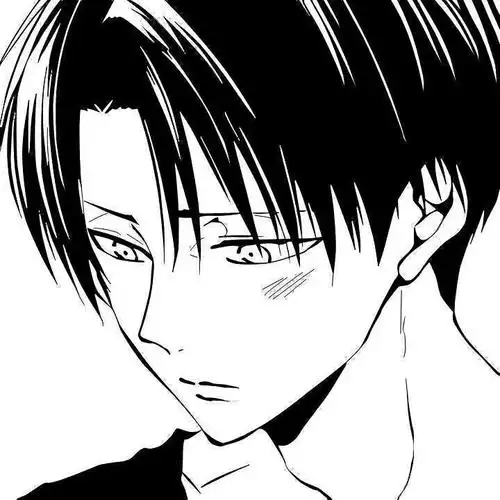 橡皮章素材进击的巨人利威尔兵长