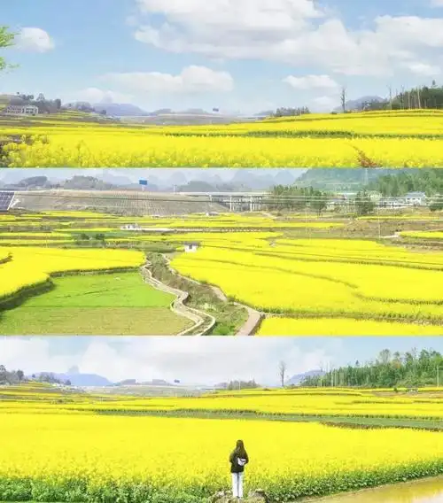 一夜"入冬",美景依然在线!贵州这些地方足以撩动你心~