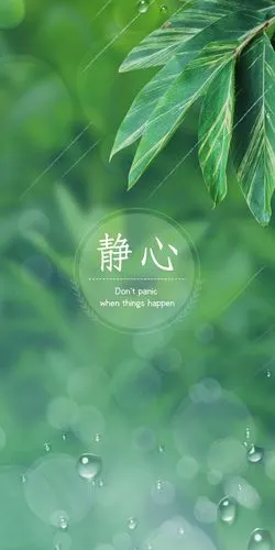 保持静心的态度,高清图片,手机壁纸