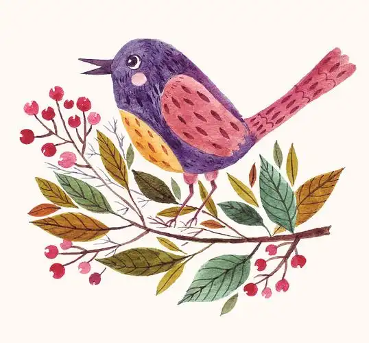 小鸟插画插画_小鸟插画手绘插画设计网