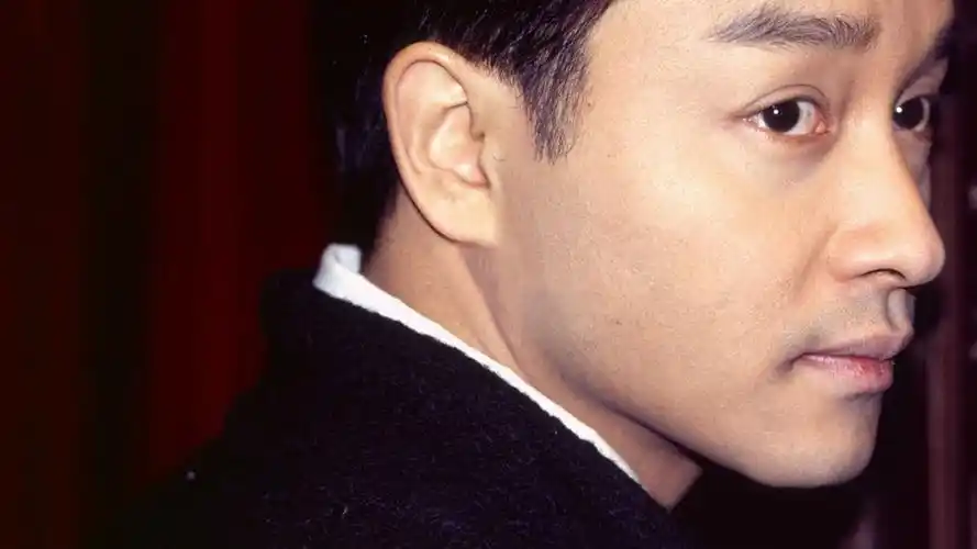 港台明星张国荣哥哥明星风尚壁纸