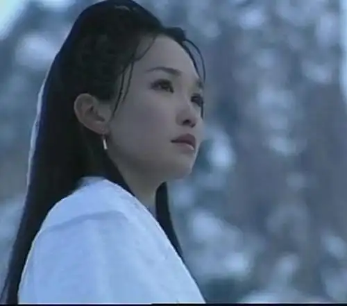 由范文芳和李铭顺主演的《神雕侠侣》获得很高的评价,范文芳也因小