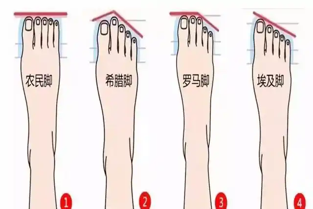 命运,细致入微地观察他的手相,五官等,不过大家有所不知的是,孩子的脚