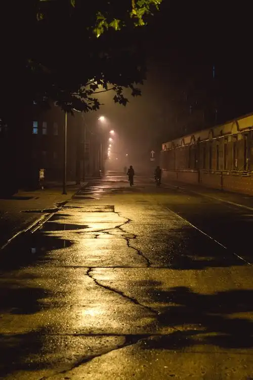 路灯下匆匆赶路的背影