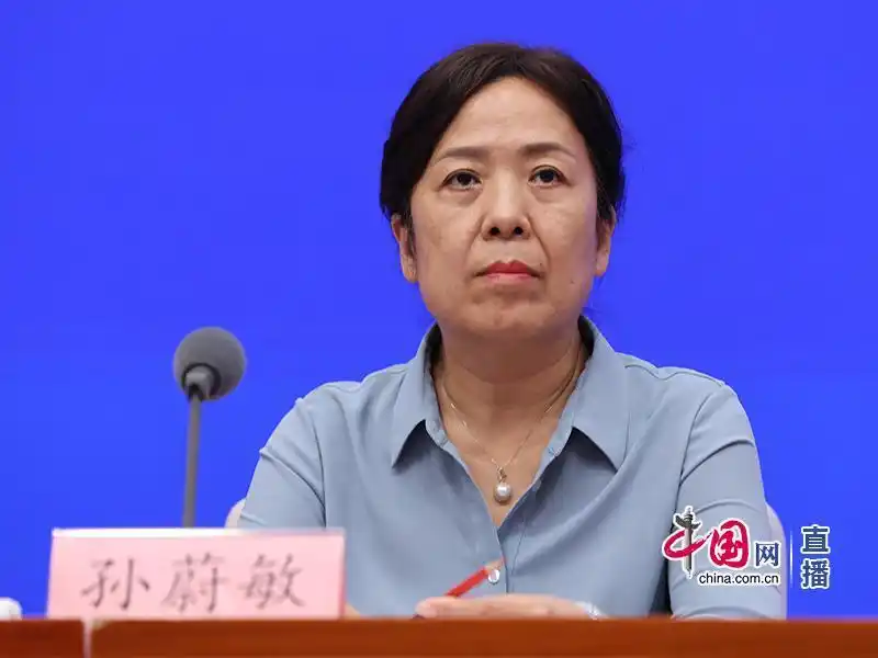 国家互联网信息办公室网络安全协调局局长孙蔚敏