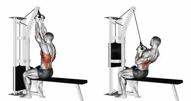 肩膀背部的训练方法做好3个组合动作全面刺激肩背部肌肉群