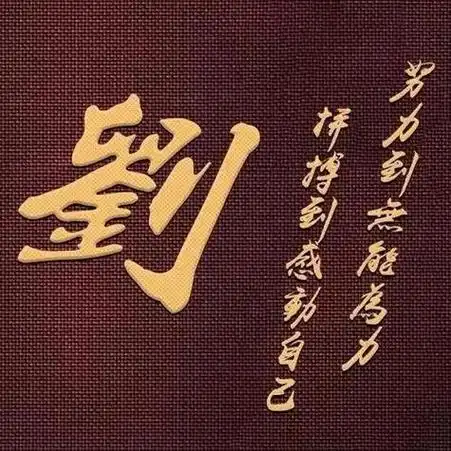 姓氏微信头像刘氏女2024