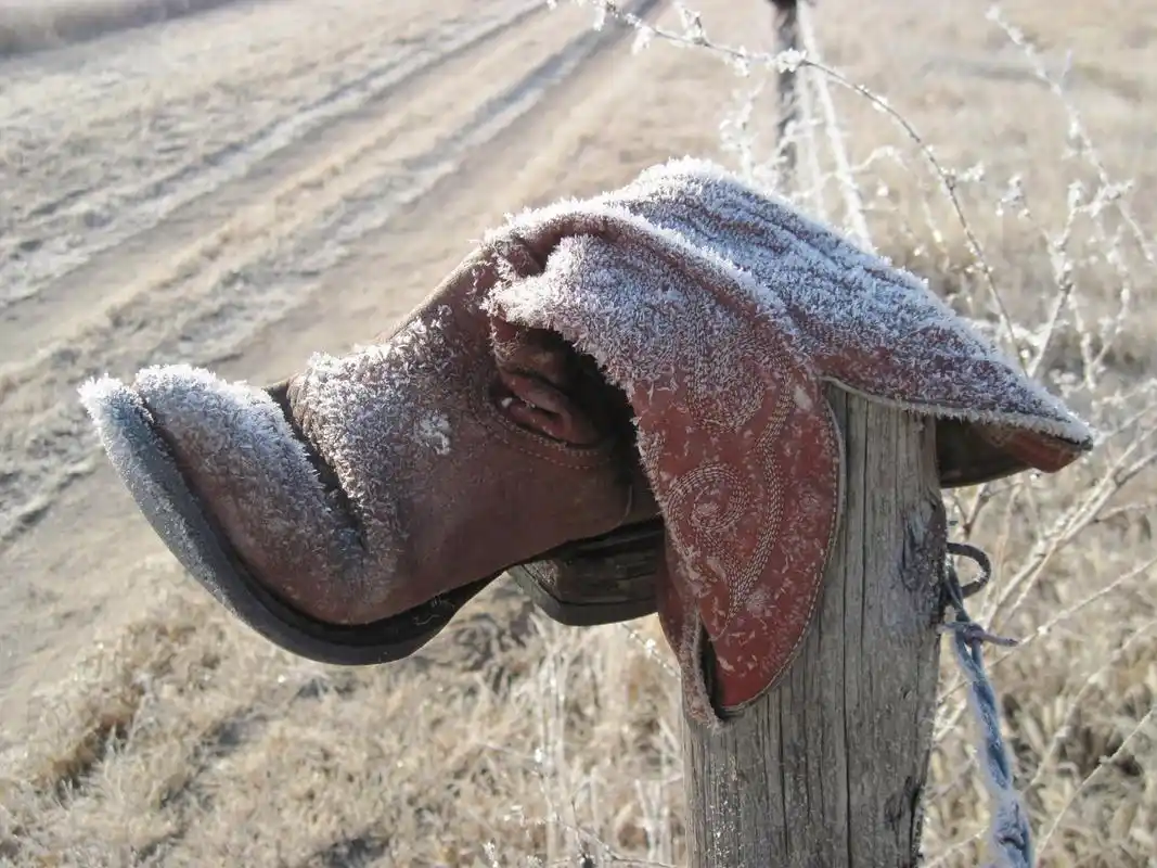 美靴子落地不完全,鹰政有何影响?