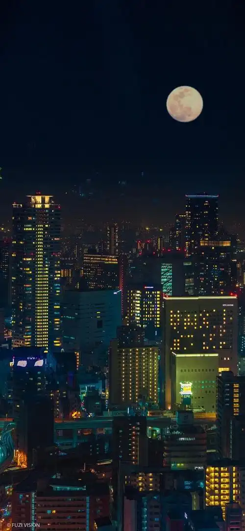 深夜崩溃的文案成熟稳重字字触动人心