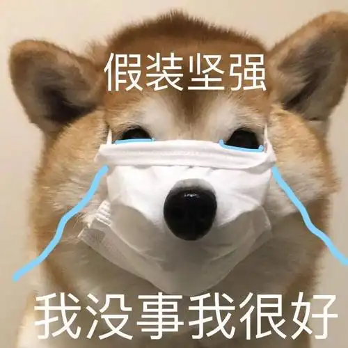阿猫阿狗沙雕表情包
