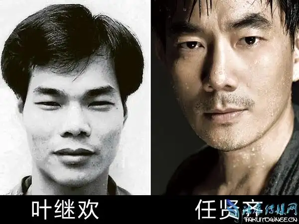 树大招风电影人物原型都是谁?树大招风送花瓶是什么意思?