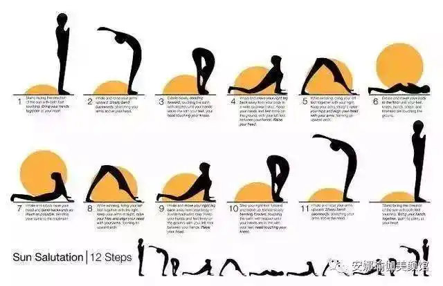 瑜伽入门经典拜日式