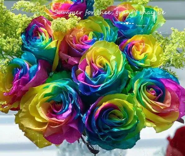 七彩玫瑰