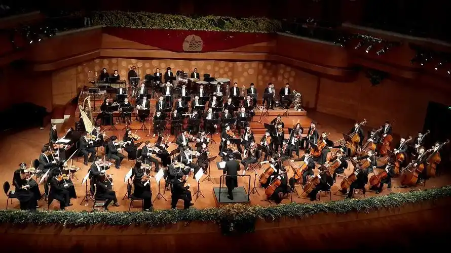 活动照片-交响音乐会(viii)