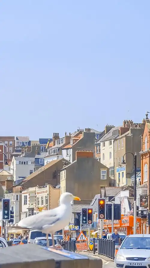 小清新城市风景手机壁纸