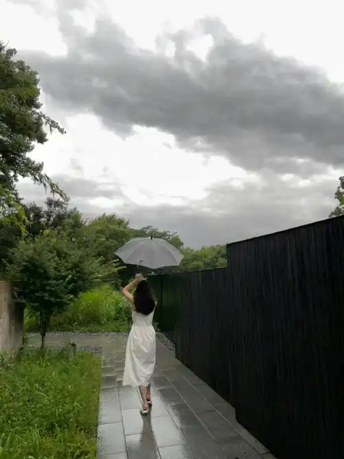 虞书欣雨天打伞背影live图##虞书欣晒虞美人雨天打伞四宫格