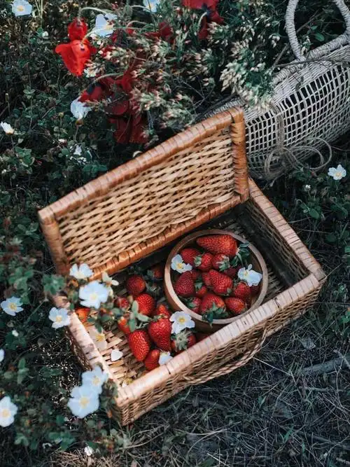 ins - 堆糖,美图壁纸兴趣社区