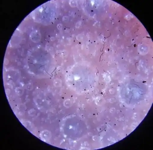 古瓷:关于微观气泡真伪之鉴