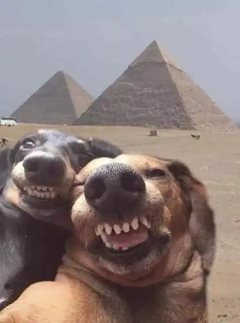 超级逗比搞笑图片