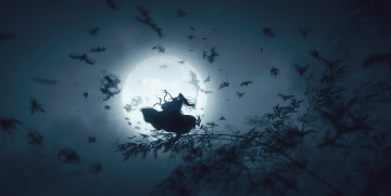 从仅有的几个pv来管中窥豹,细腻的古风造型,考究的场景搭设,虽然打斗